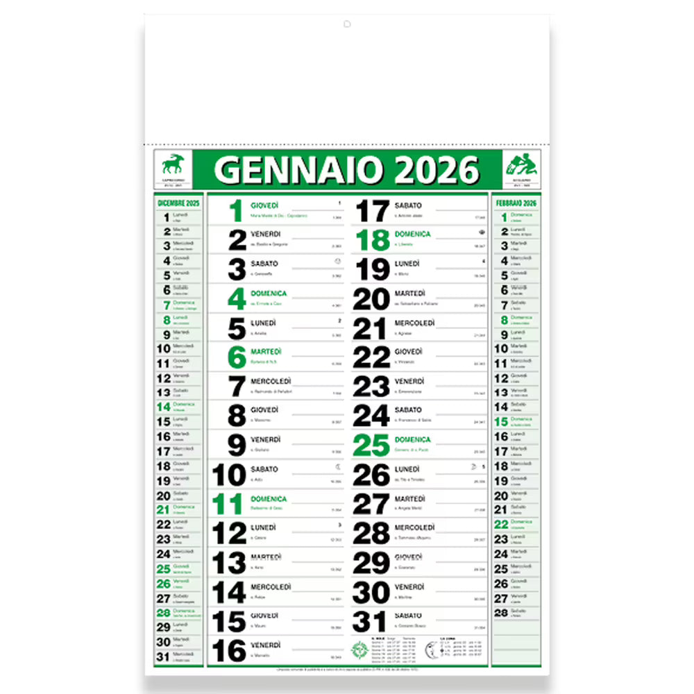 Calendario 2026 da muro mensile bicolore