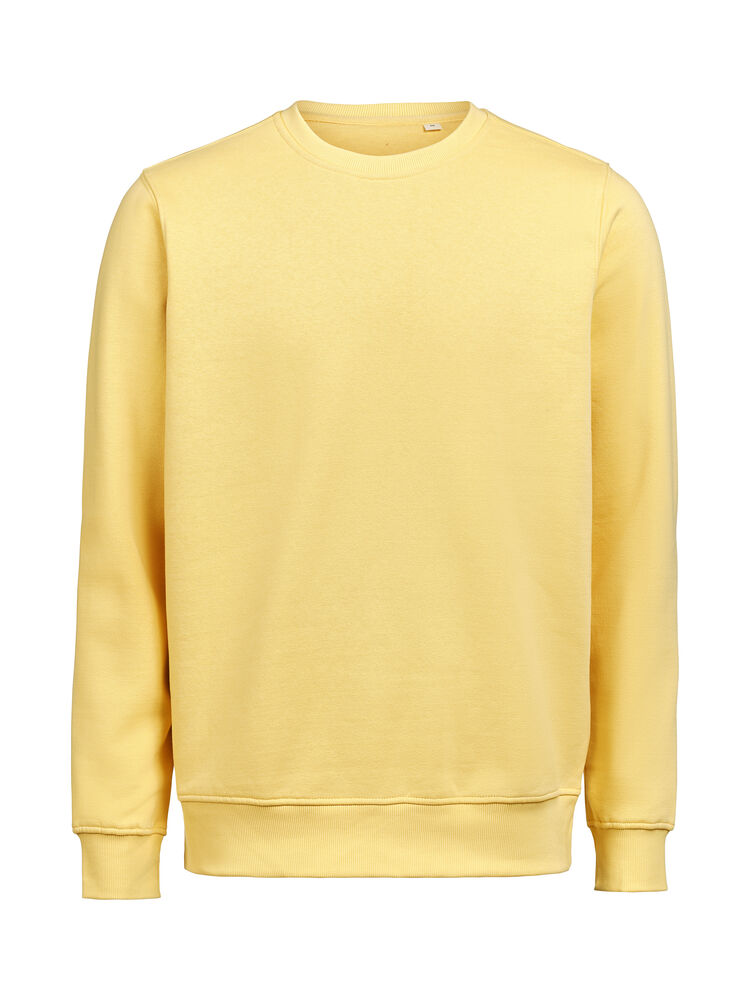 UM Crewneck (OCS-RCS) Regular Fit Unisex Ray (205)